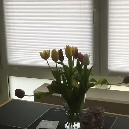 Ferienwohnung Domblick بادربورن